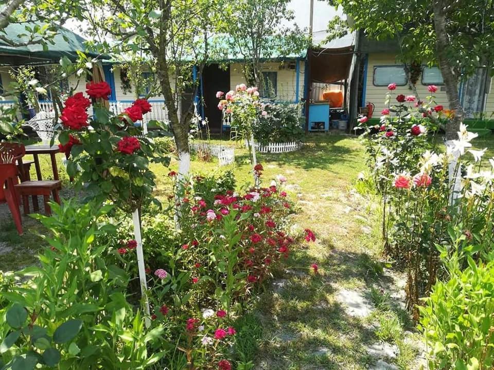 Camping Casuta Mihaela Crisan  Ngoại thất bức ảnh