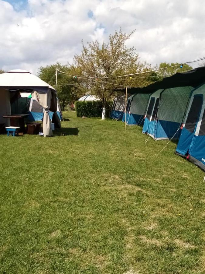 Camping Casuta Mihaela Crisan  Ngoại thất bức ảnh