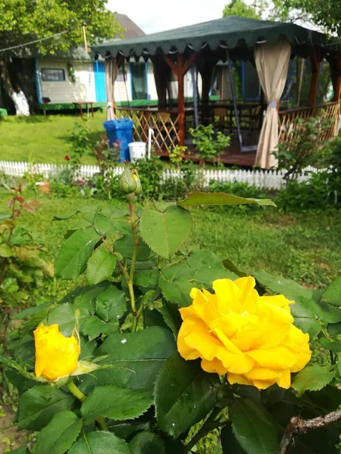 Camping Casuta Mihaela Crisan  Ngoại thất bức ảnh