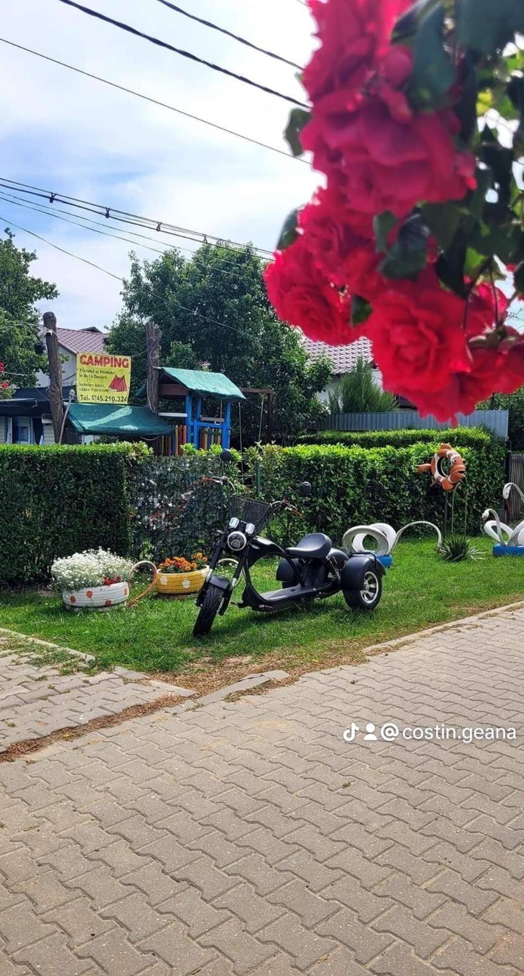 Camping Casuta Mihaela Crisan  Phòng bức ảnh