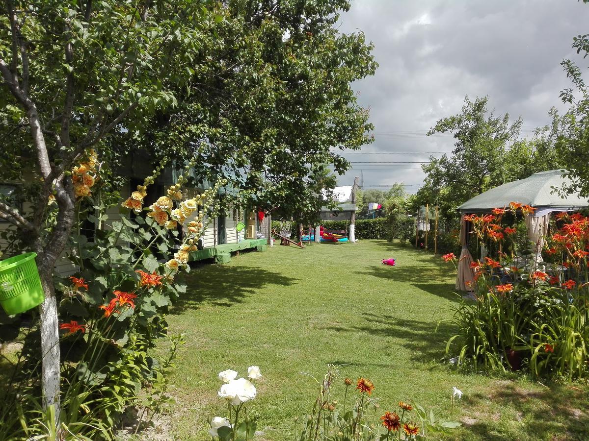 Camping Casuta Mihaela Crisan  Ngoại thất bức ảnh